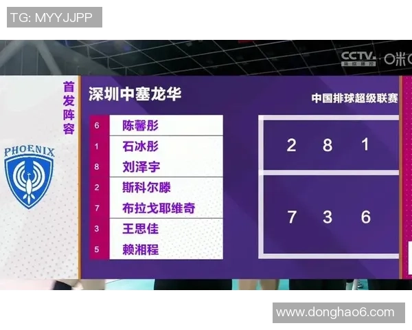 南京排球队的节奏解析与未来发展展望